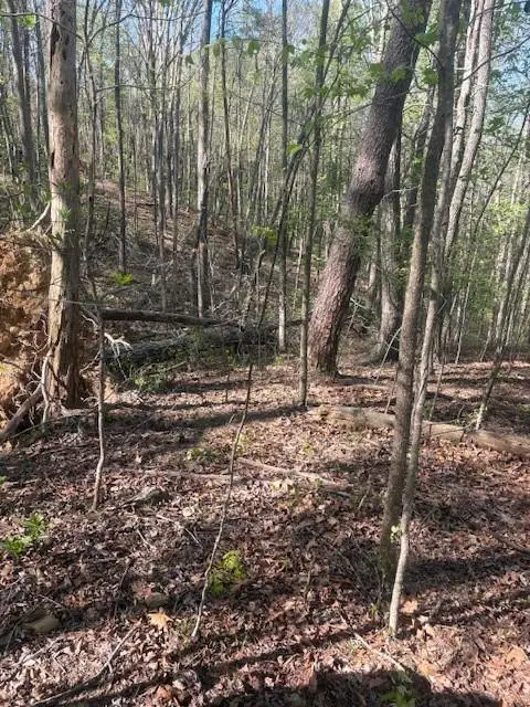 0 Heatherwood Way, Talking Rock, GA 30175 - #3