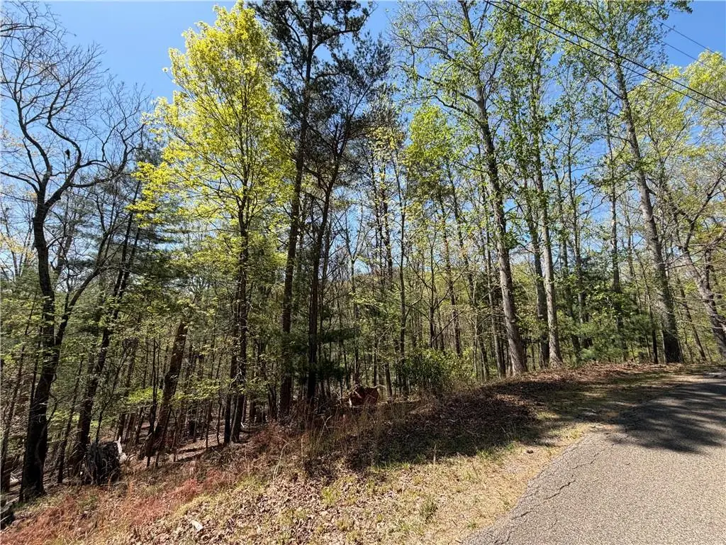 812 Horse Cove Court, Jasper, GA 30143 - #1