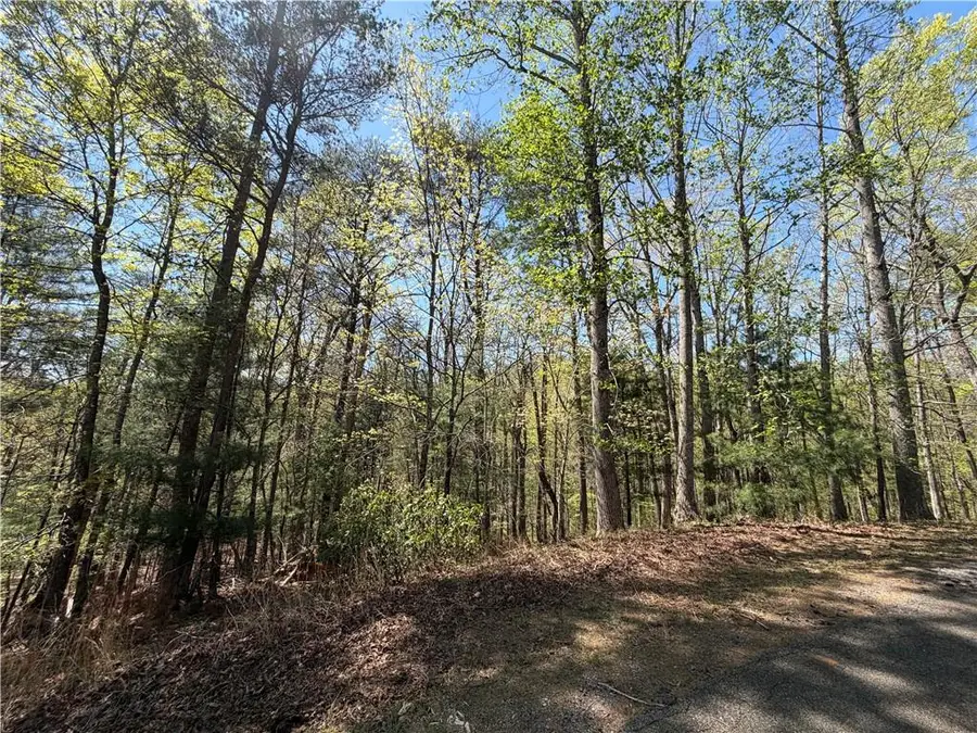 812 Horse Cove Court, Jasper, GA 30143 - #3