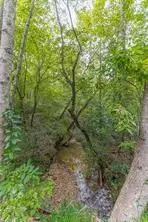 4033 Hidden Hollow Drive, Gainesville, GA 30506 - #2