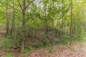 4033 Hidden Hollow Drive, Gainesville, GA 30506 - #3