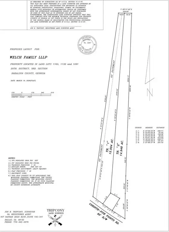 00 Corinth-five Points Trac # 2 Road, Buchanan, GA 30113 - #1