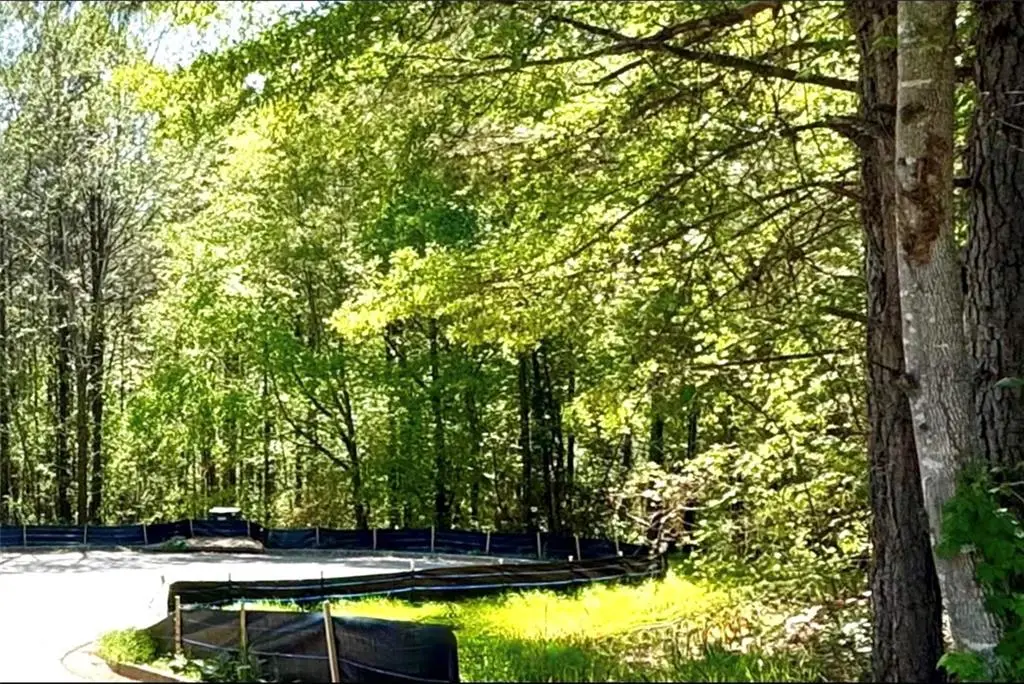 144 Constitution Pointe, Dallas, GA 30132 - #1