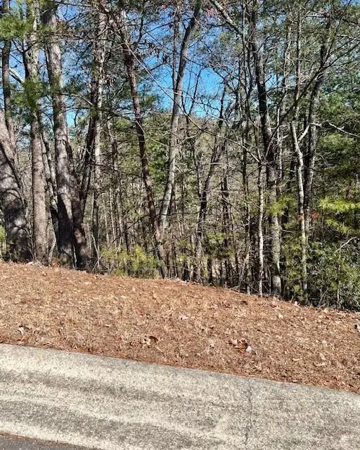 0 Rosen Strasse, Helen, GA 30545