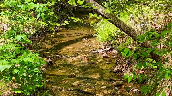 x Kelly Bridge Road, Dawsonville, GA 30534