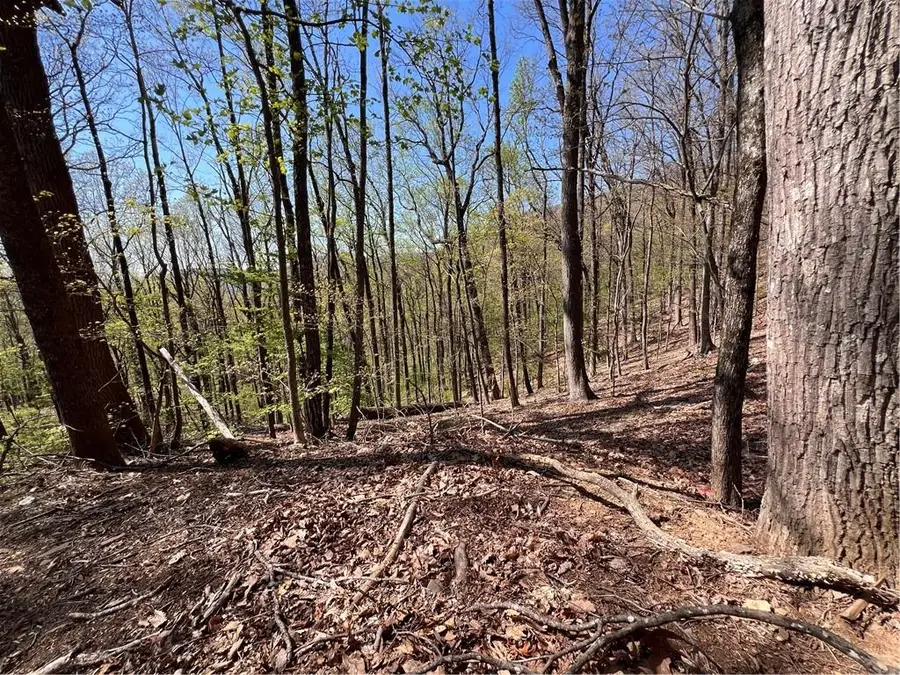 0 Sassafras Court, Jasper, GA 30143 - #2