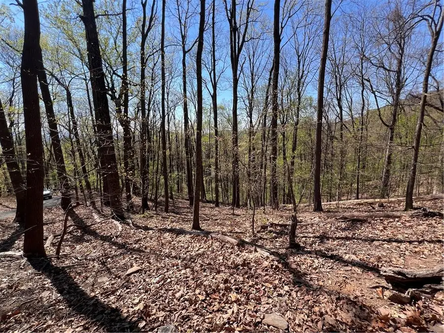 0 Sassafras Court, Jasper, GA 30143 - #3