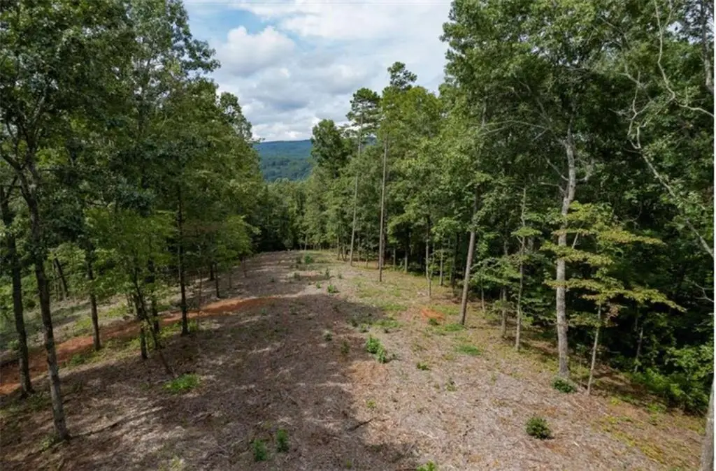 LOT 31 Pebble Trace, Talking Rock, GA 30175 - #1