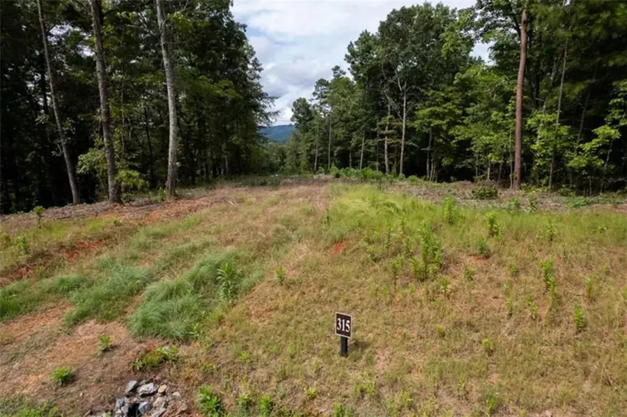 LOT 31 Pebble Trace, Talking Rock, GA 30175 - #2