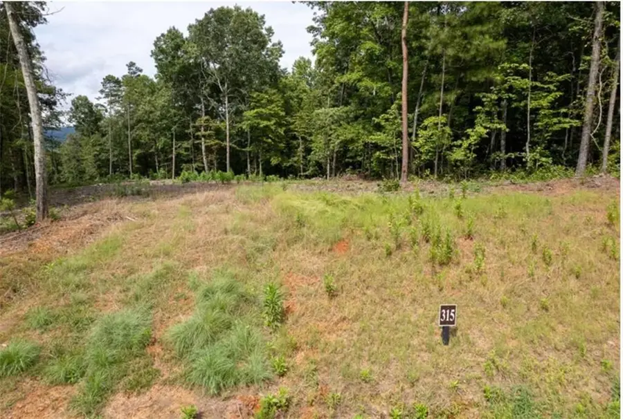 LOT 31 Pebble Trace, Talking Rock, GA 30175 - #3