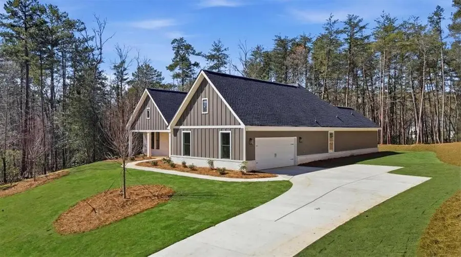 196 Red June Lane, Clarkesville, GA 30523 - #3