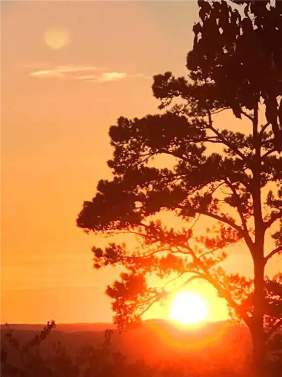 43 Clearview Drive, Cartersville, GA 30121 - #3