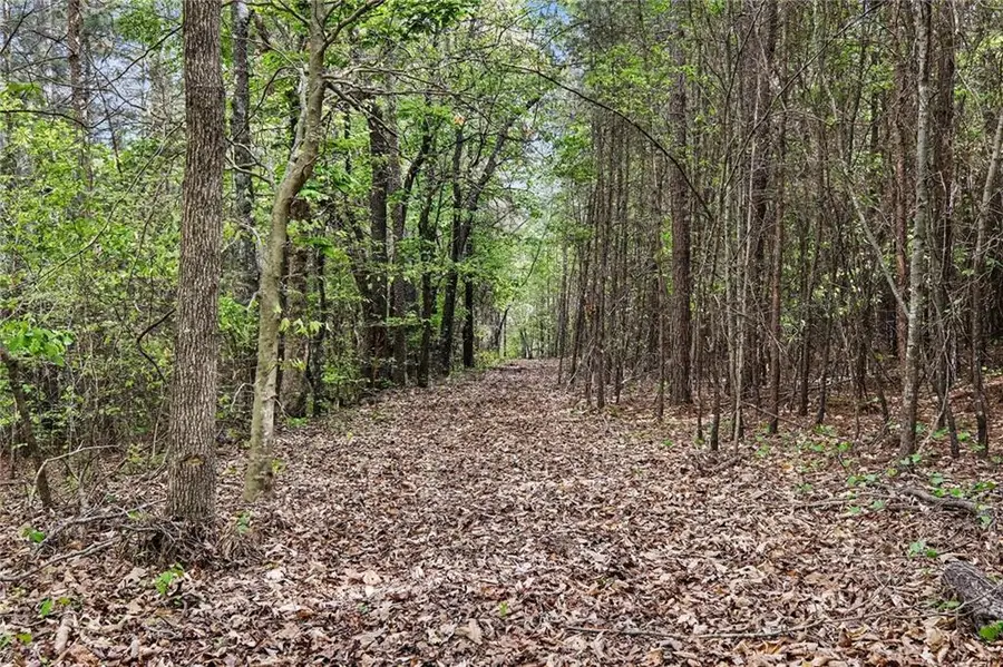 5429 Oak Valley Road, Toccoa, GA 30577 - #2