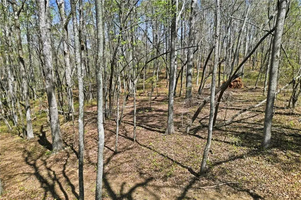 109 Heritage Plantation Drive, Ball Ground, GA 30107 - #1