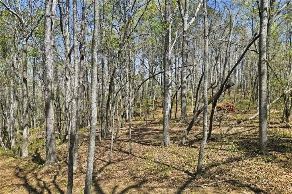 117 Heritage Plantation Drive, Ball Ground, GA 30107 - #1