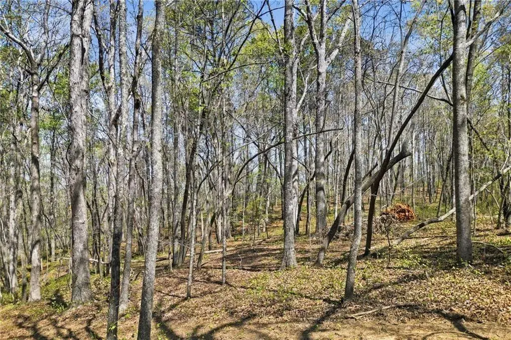 125 Heritage Plantation Drive, Ball Ground, GA 30107 - #1