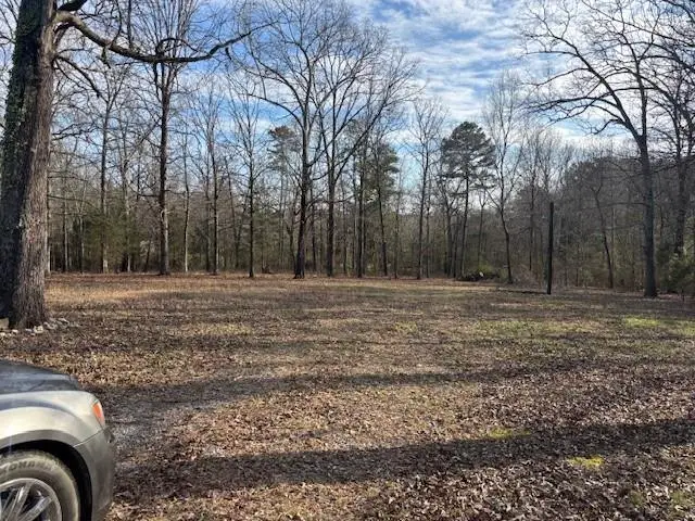 37 Davis Loop, Kingston, GA 30145 - #3