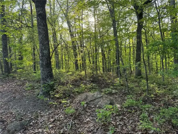 1440 Hanna Drive, Ranger, GA 30734