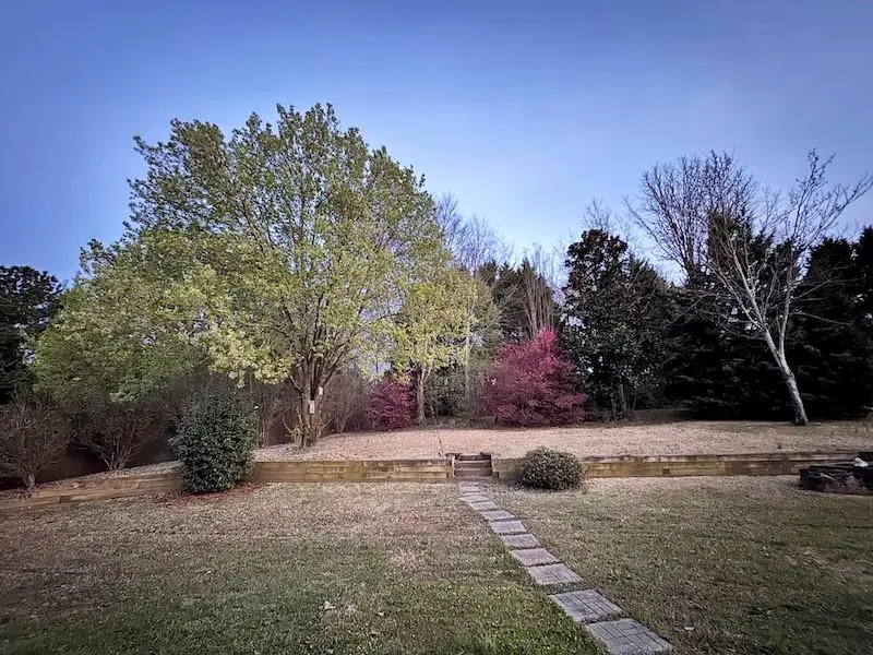 528 Chardonnay Trace, Braselton, GA 30517 - #2