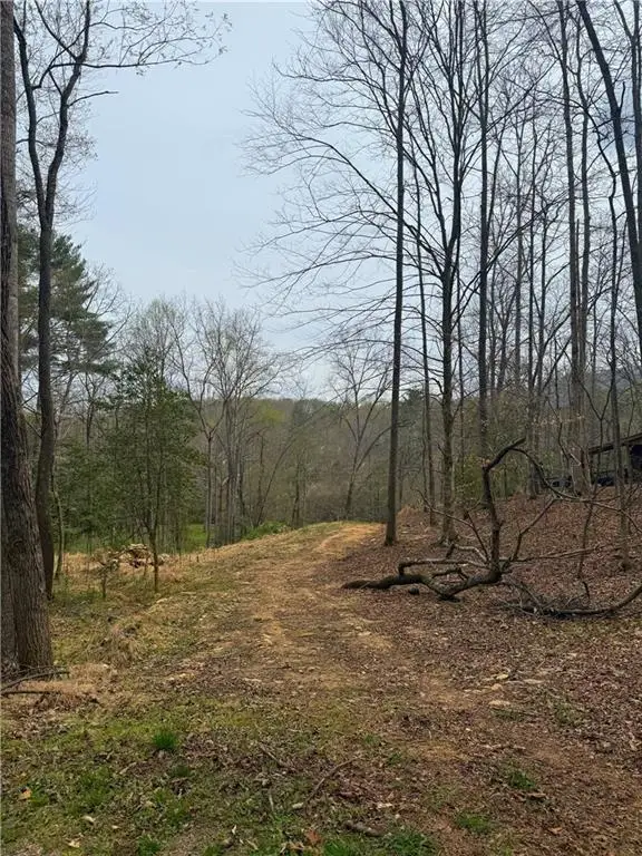 0 Holly Drive, Blairsville, GA 30512 - #2