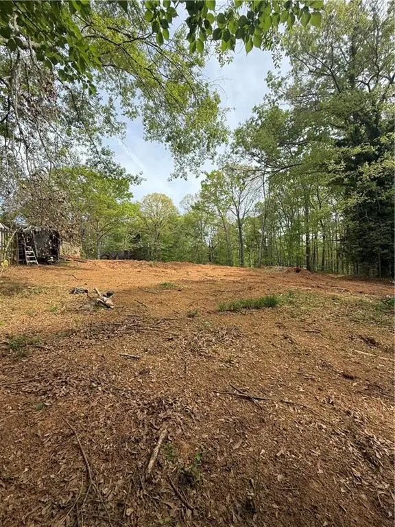 1181 Owen, Sugar Hill, GA 30518 - #3