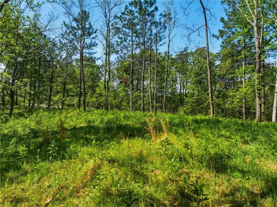 Lot 2 Summit Drive, Dahlonega, GA 30533 - #3