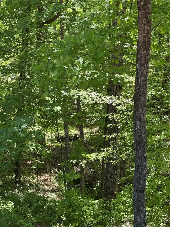 0 Clark Drive, Alpharetta, GA 30004