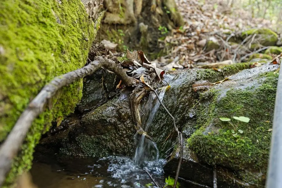 0 Poplar Hollow Road, Ellijay, GA 30540 - #3