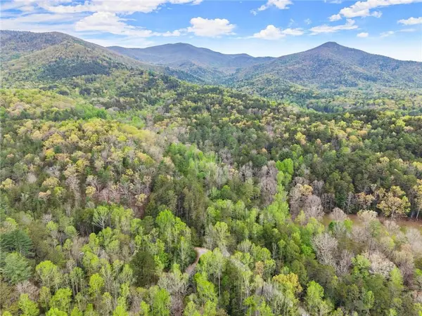 0 S Fern Cove Road, Sautee Nacoochee, GA 30571