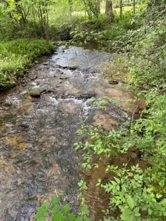 0 S Fern Cove Road, Sautee Nacoochee, GA 30571 - #3