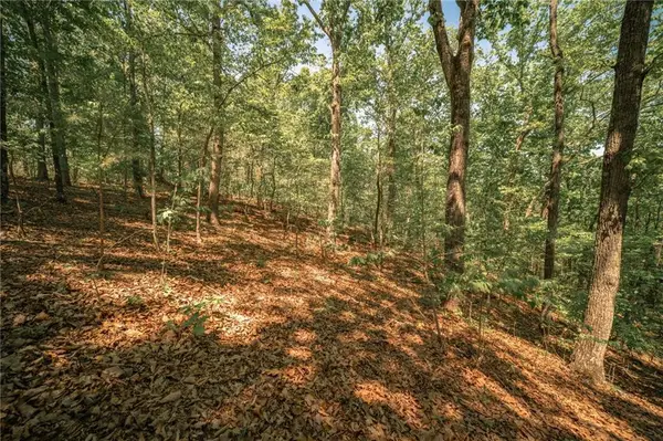 00 Hancock Mountain Trl, Waleska, GA 30183