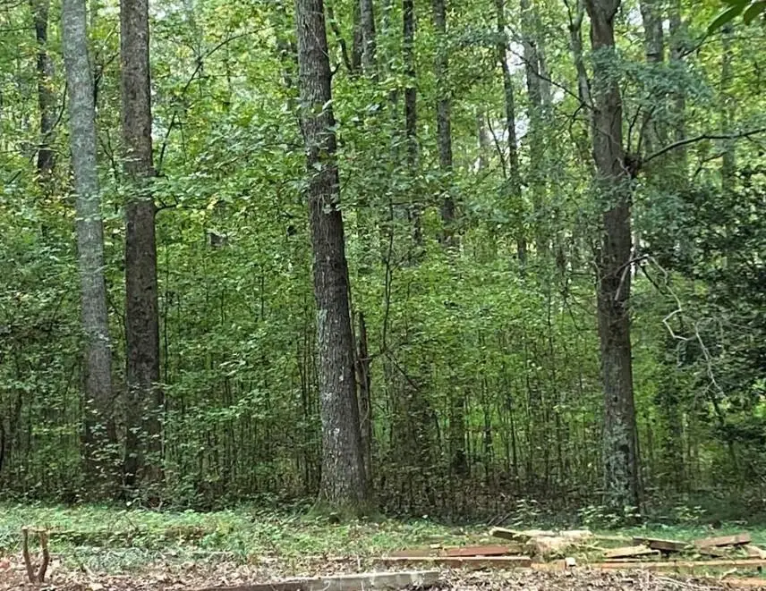 2247 Holly Court, Cumming, GA 30041 - #1