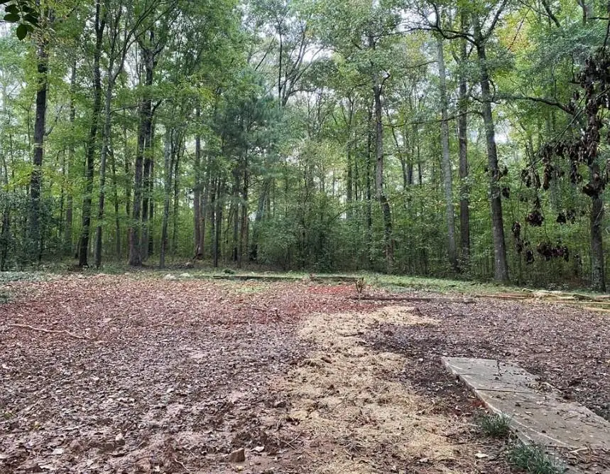 2247 Holly Court, Cumming, GA 30041 - #2