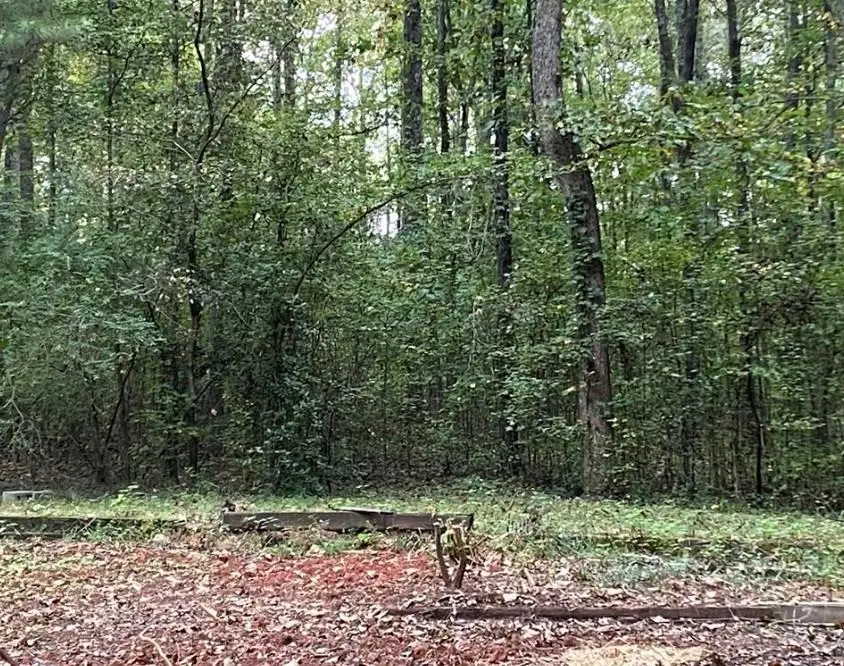 2247 Holly Court, Cumming, GA 30041 - #3