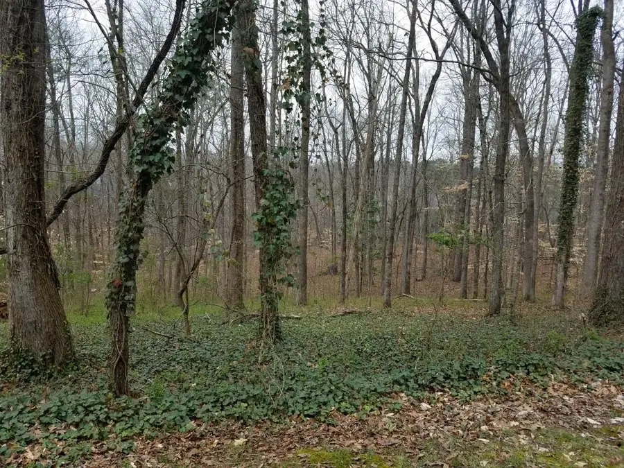 4633 Post Oak Tritt Road, Marietta, GA 30062 - #3