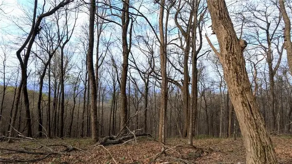 7188 Ridgeview Drive, Big Canoe, GA 30143