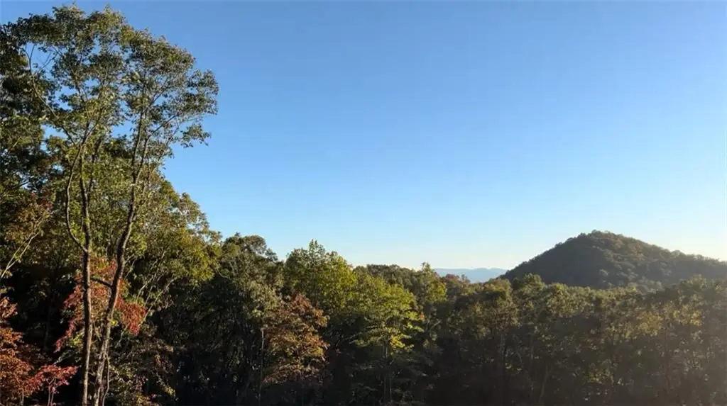 600 Kittatinny Drive, Mineral Bluff, GA 30559 - #1