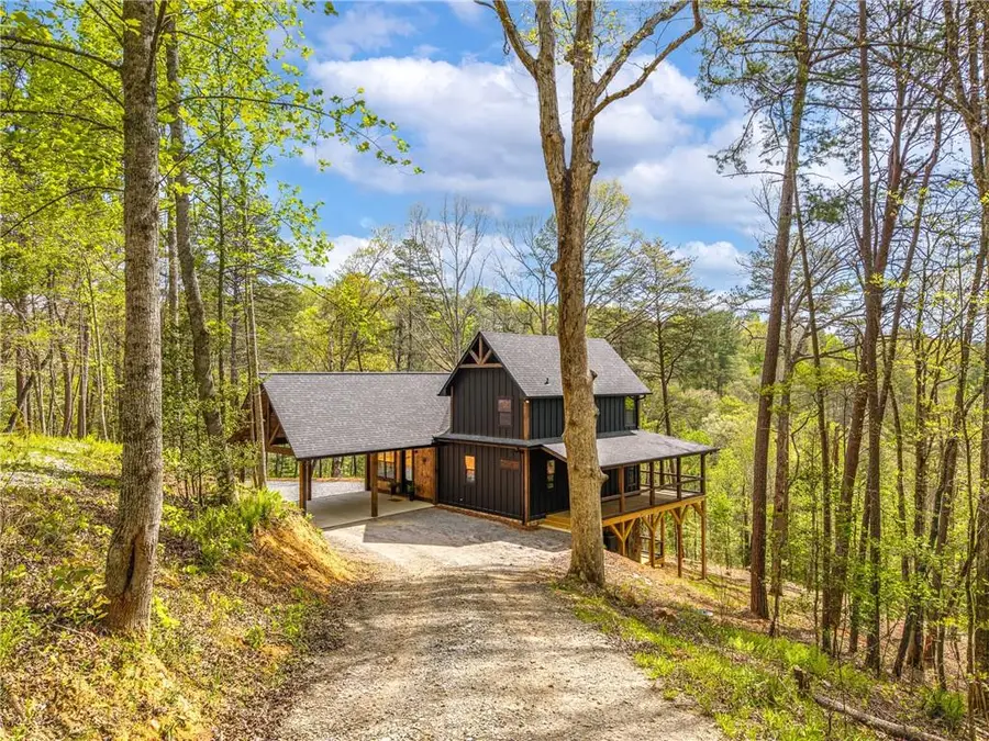 250 Wolf Creek Circle, Mineral Bluff, GA 30559 - #2