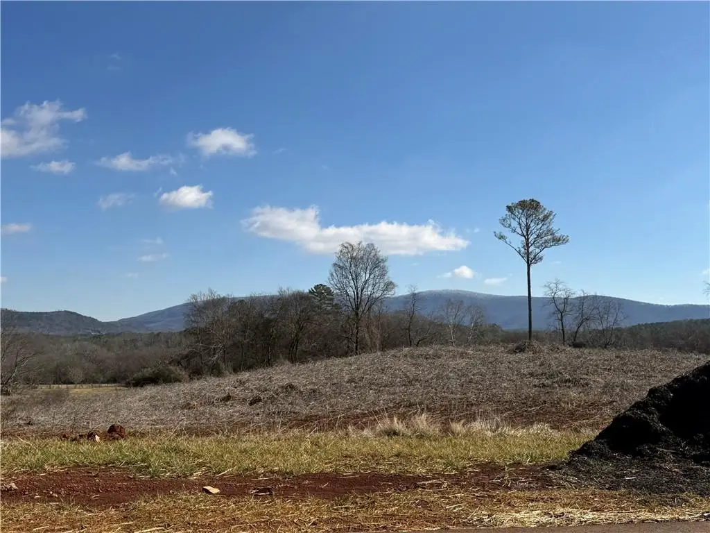 110 Palisade Drive, Rydal, GA 30171 - #1