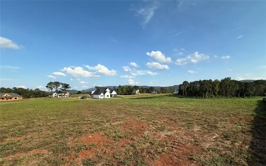 110 Palisade Drive, Rydal, GA 30171 - #3