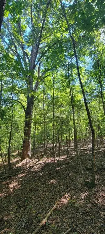 5 Ripplewood Trail, Euharlee, GA 30145 - #2