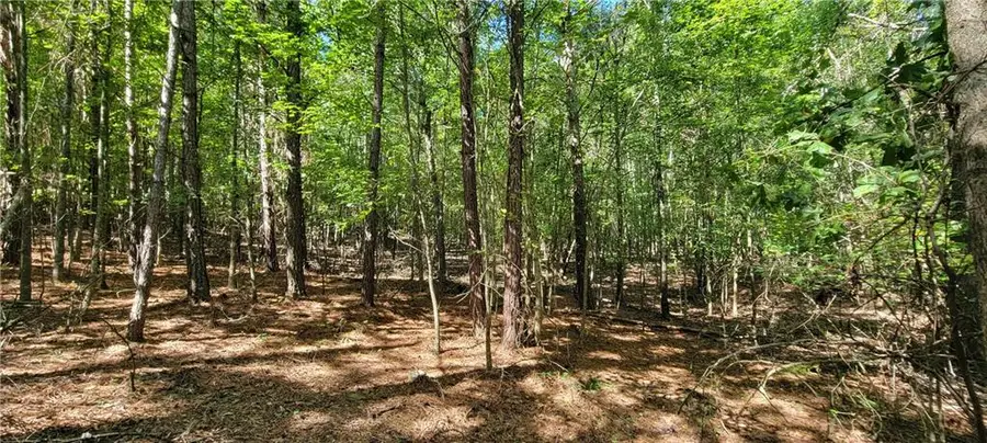 5 Ripplewood Trail, Euharlee, GA 30145 - #3