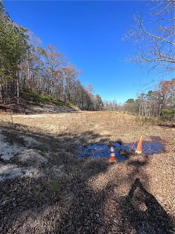 245 Beracah Walk Sw, Atlanta, GA 30331