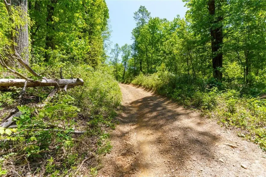 0 Fire Tower Road, Jasper, GA 30143 - #2