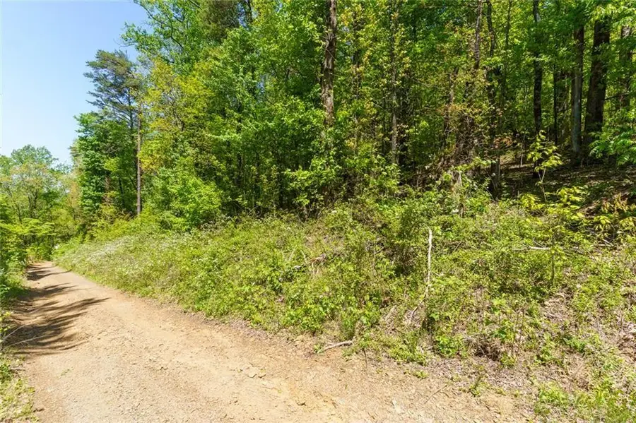 0 Fire Tower Road, Jasper, GA 30143 - #3