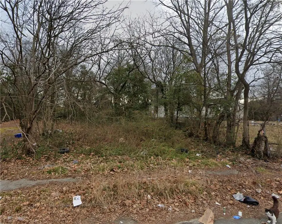 509 Paines Avenue Nw, Atlanta, GA 30318 - #1