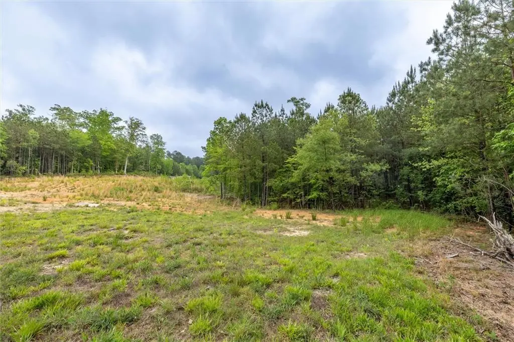 51 Paul Harris Road, Dallas, GA 30157 - #1