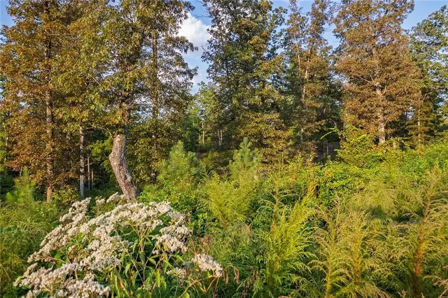 0 High River Road, Ellijay, GA 30540 - #3