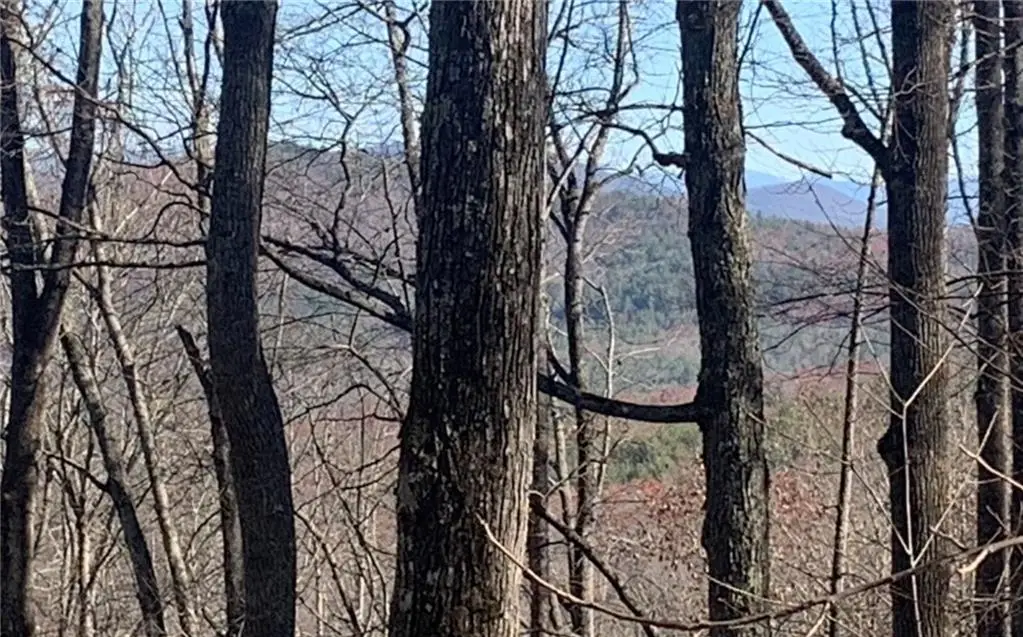 102 Badger Road, Blairsville, GA 30512 - #1