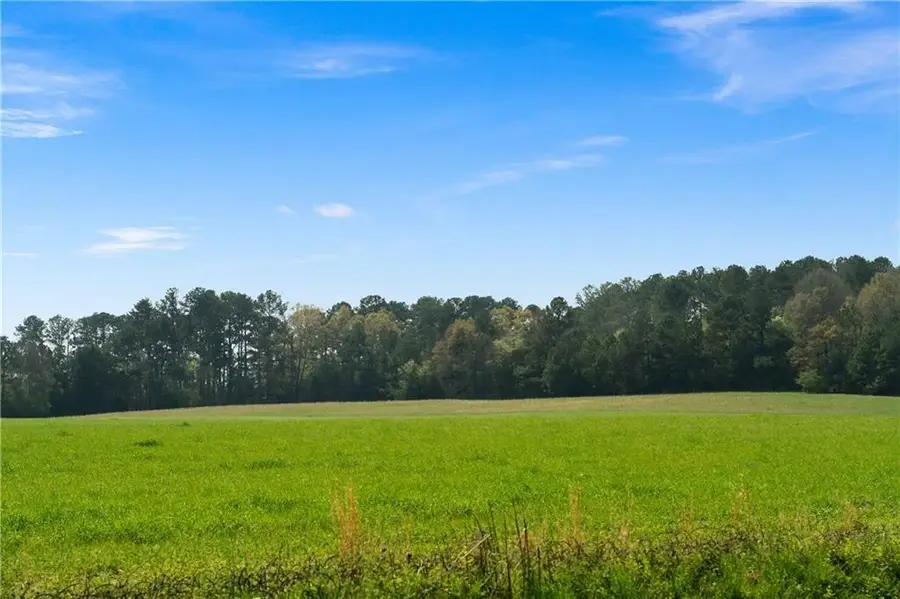 0 Taylorsville Macedonia Rd. Road, Taylorsville, GA 30178 - #2